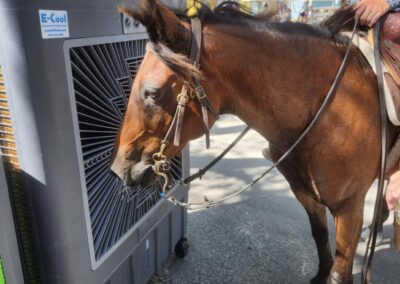 Horse cooling off by a fan outside.