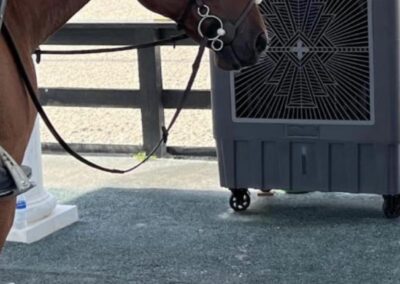 Horse standing near a portable fan.