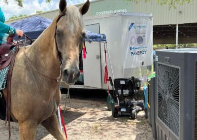 Horse near covered arena and equipment outdoors.