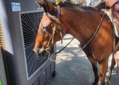 Horse cooling off with portable air conditioner