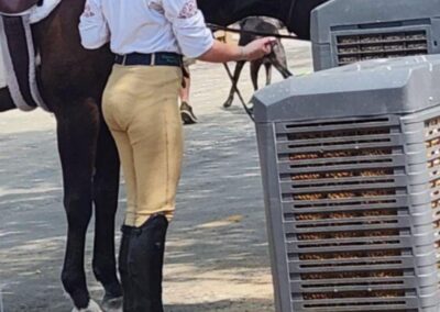 Equestrian standing beside horse outside barn.